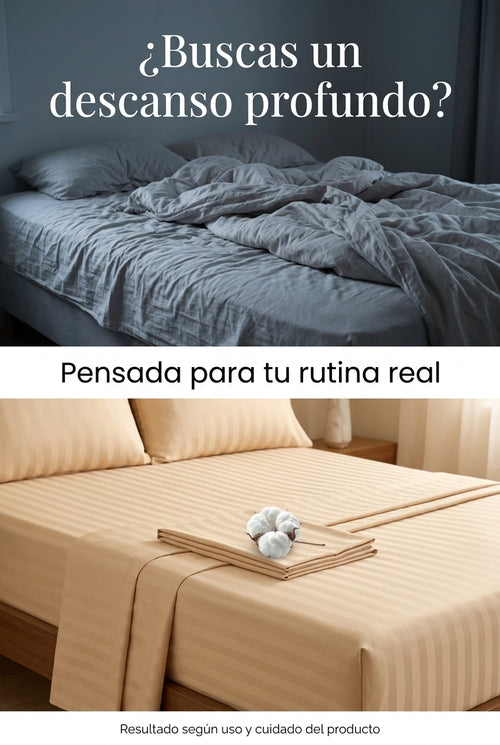 Royal Comfort - hero_NPU4Kz